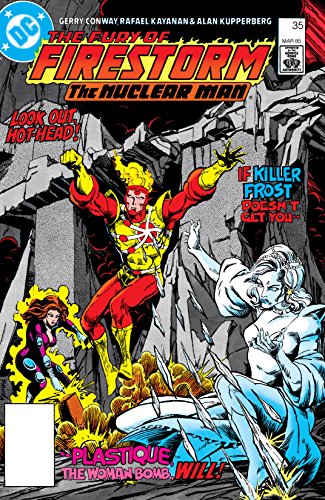 Cover of The Fury of Firestorm (1982-1990) #35