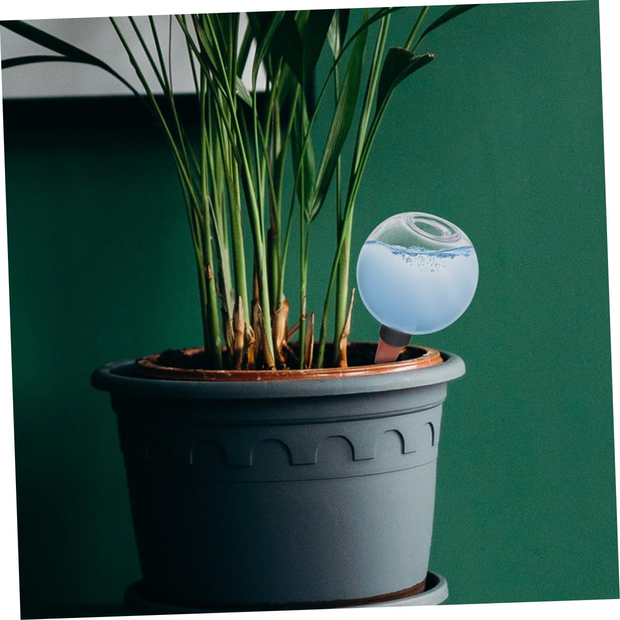 UPKOCH 4 Ensembles Dispositif D'arrosage Automatique Plantes Soi Plante D'arrosage Globes D'arrosage Appareil Usine Mis en Pot Irrigation Dispositifs Auto-arrosage Pcv 2 Pièces * 4