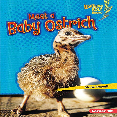 Meet a Baby Ostrich by Marie Powell episode artwork