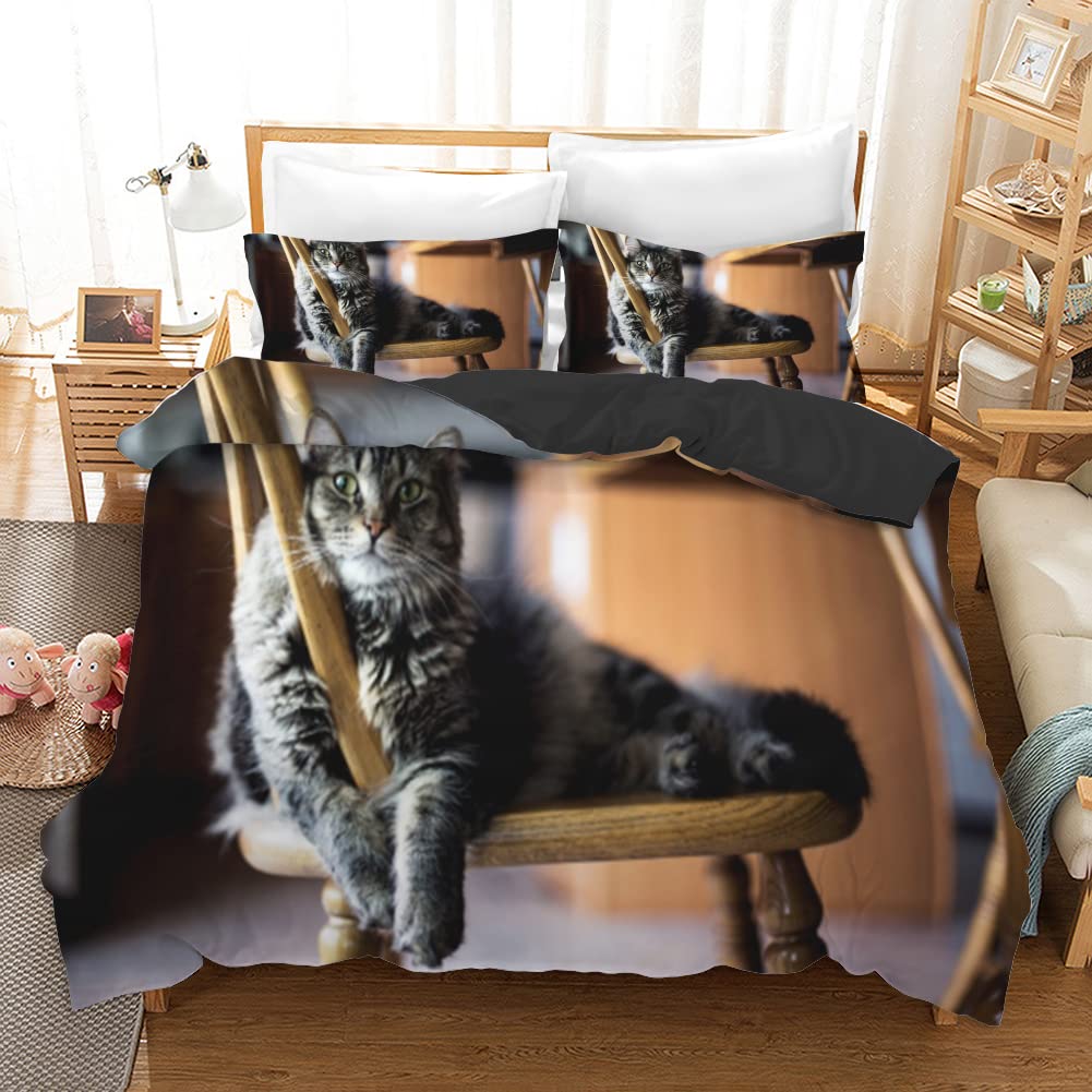 Housse de couette 240 x 260 zippée chat jaune pour literie grand lit