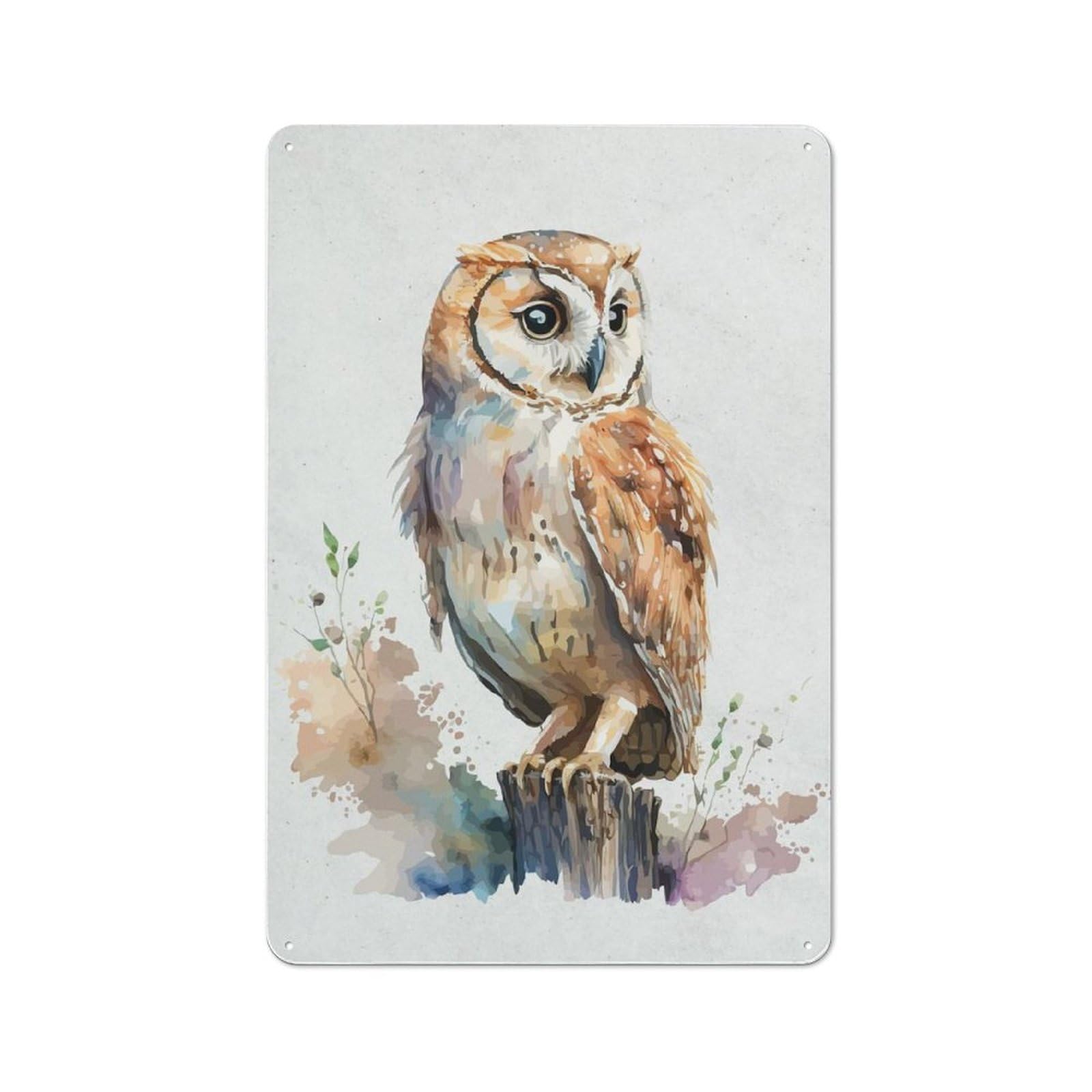 Retro Metal Plaque 30x20cm Featuring Watercolor Animal Owl for Workshop Wall, for Metal Sign Collectors, for Garage And Workshop Walls