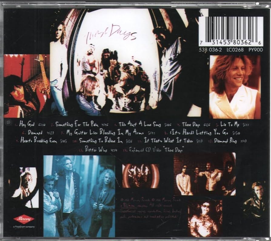 その他 BON JOVI These Days complete Edition 61kmGUqh-UL._UF894,1000_QL80_.jpg