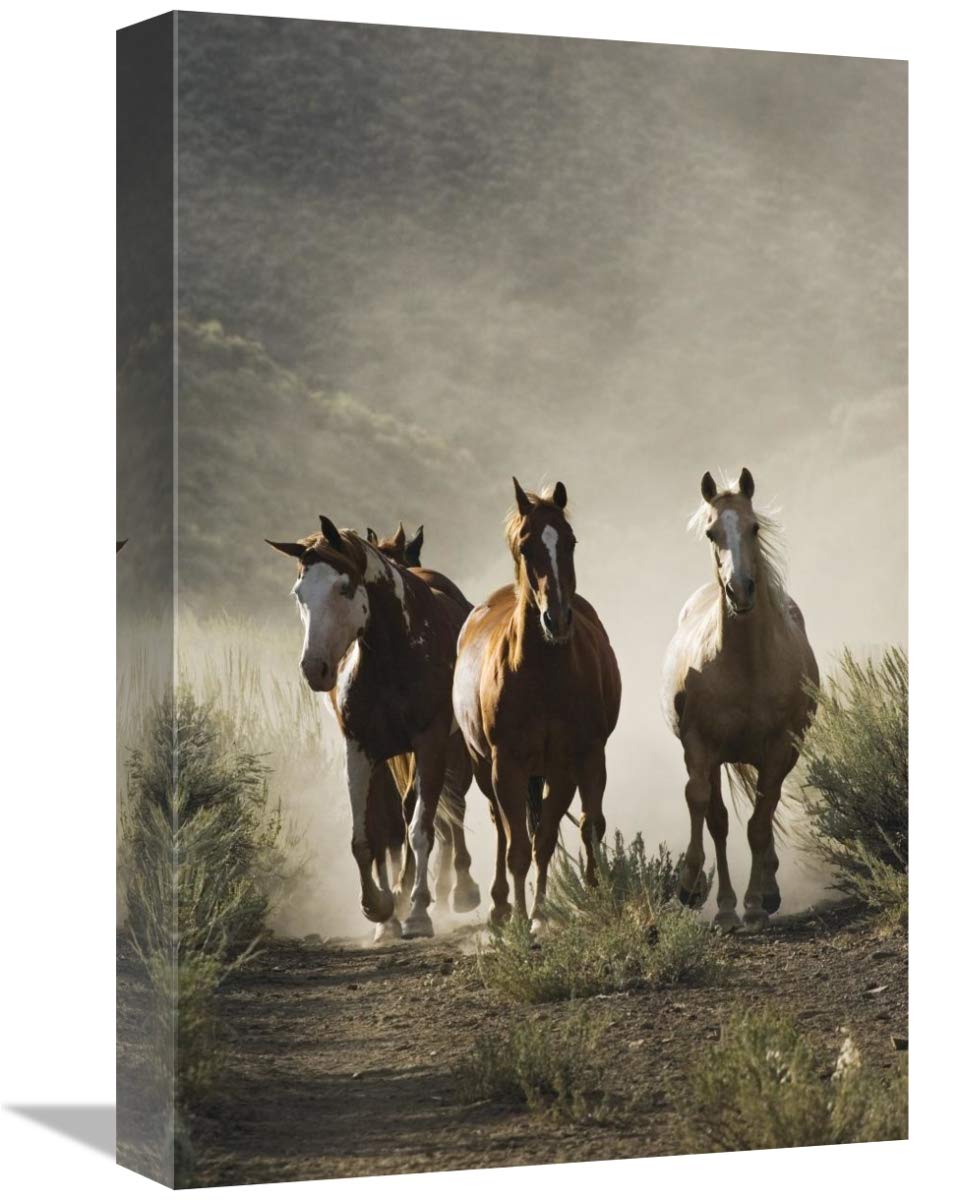 Global Gallery Oregon-Canvas Art - Juego de 4 cámaras para Caballos (30,5 x 45,7 cm)