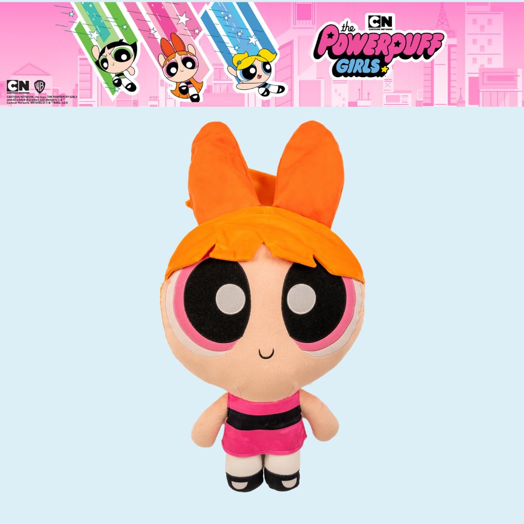 Amazon.com: Collectibles The Powerpuff Girls Blossom Bedding Super