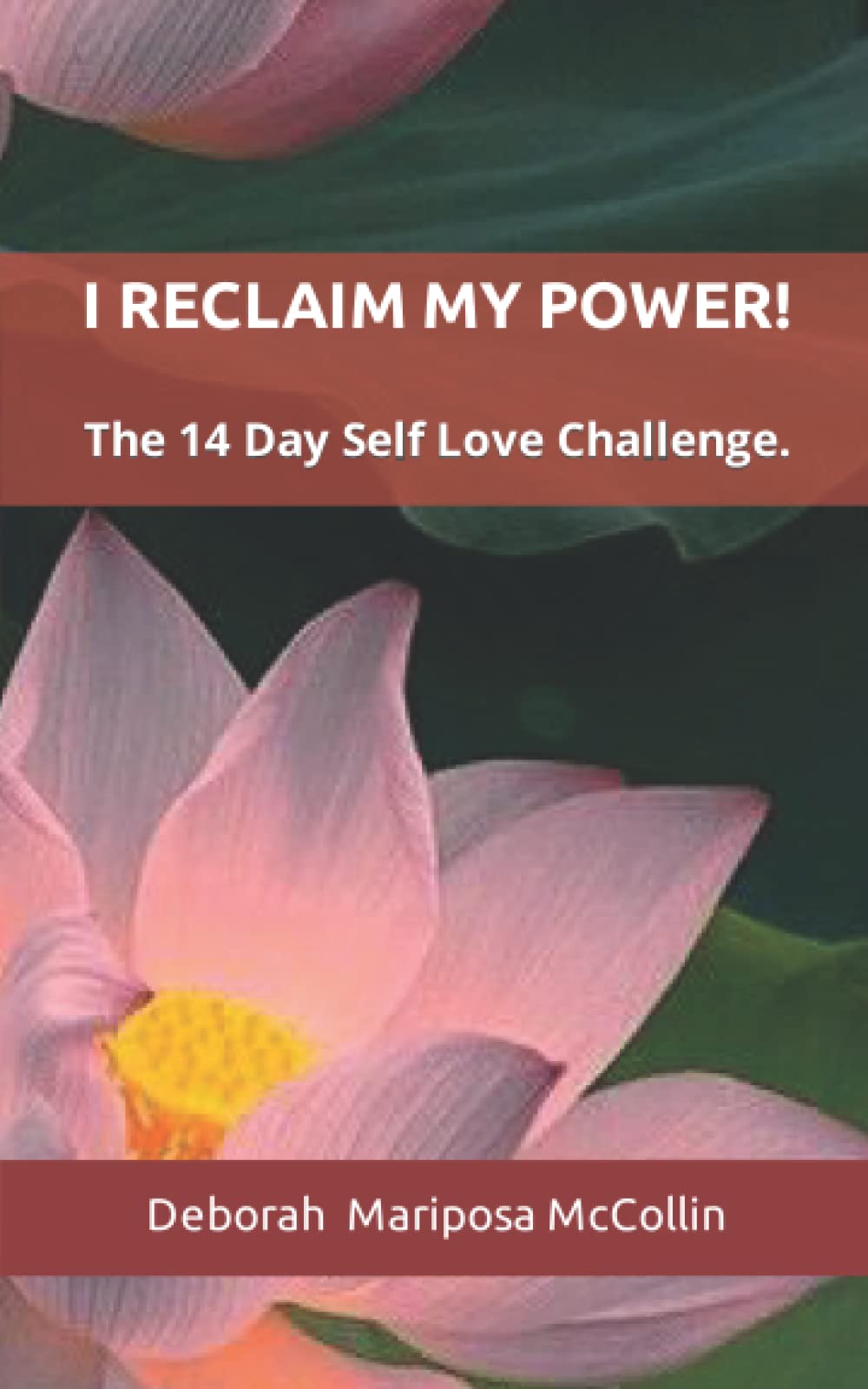 I RECLAIM MY POWER!: The 14 Day Self Love Challenge (I Reclaim My Power series)
