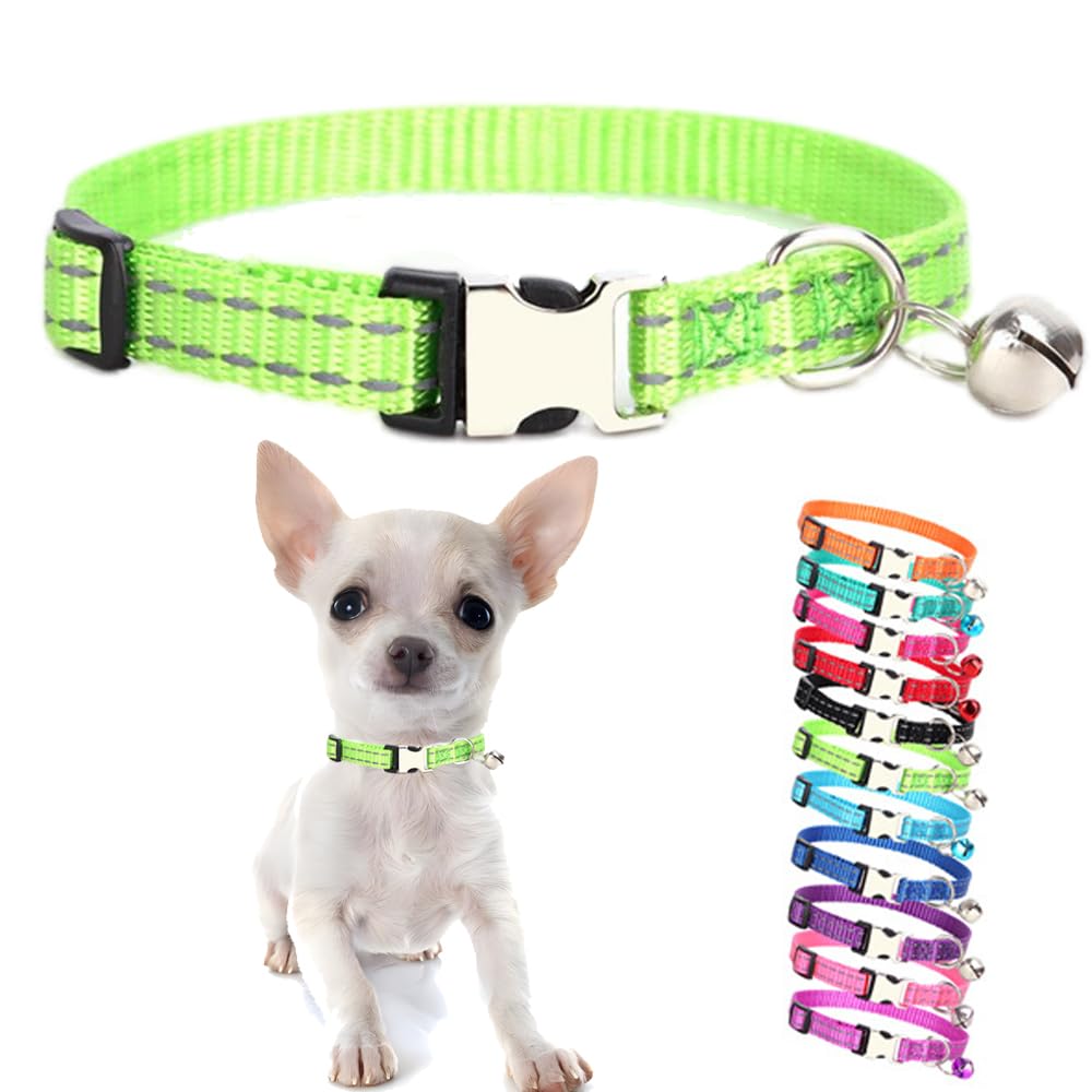 Collier vert pour chiot réfléchissant nylon XS petit chien chaton