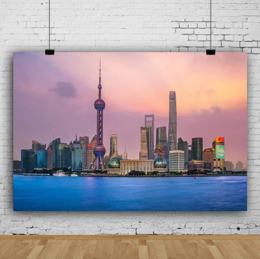 Amazon.com : Leyiyi 7x5ft Vinyl Photography Background Shanghai