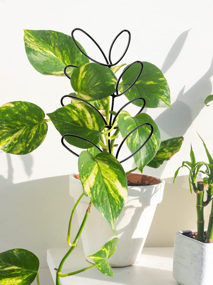 LEMCC Confezione da 4 tralicci piccoli per interni per piante in vaso da 30,5 cm a forma di foglie, in metallo, per piante da interni, fiori, edera