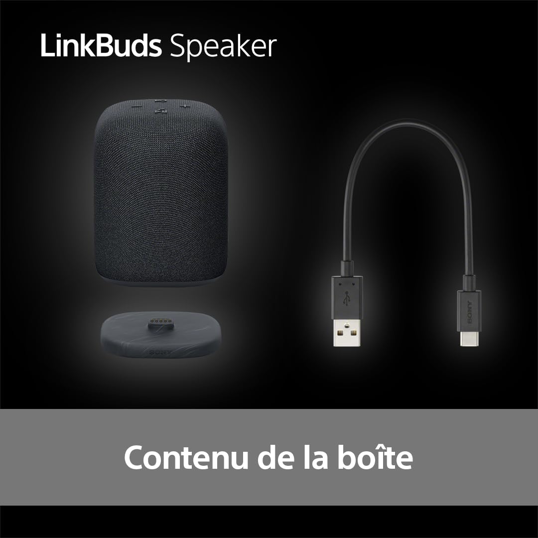 Sony Enceinte LinkBuds - Enceinte Portable sans Fil Bluetooth, IPX4, Résistante à l'eau, Batterie de 25 Heures, Qualité d'Appel Clair, Outdoor, Voyage - Noir