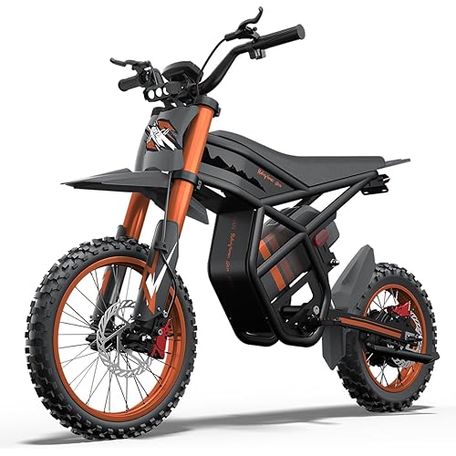 GT73/ GT73 Pro/ GT73 Mini Electric Dirt Bike for Adults Teens - 3000W/2000W Motor 50/37 MPH High-Speed, 25"/14" Fat Tires & Dual Removable Battery | All-Terrain Off-Road eBike for Snow, Sand