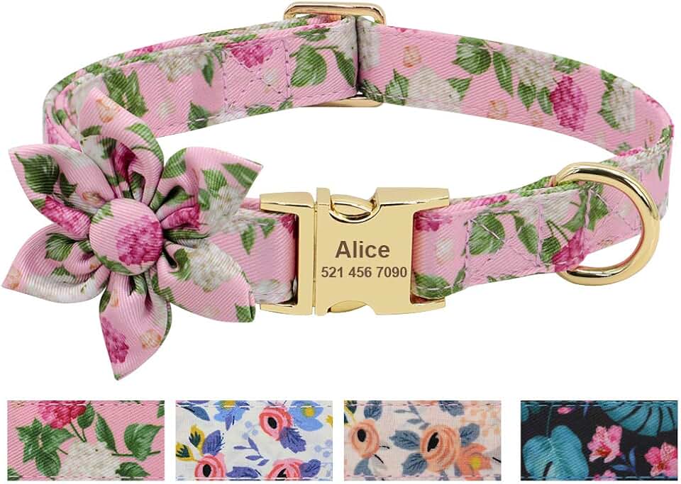 Amazon.co.uk cath kidston dog collar
