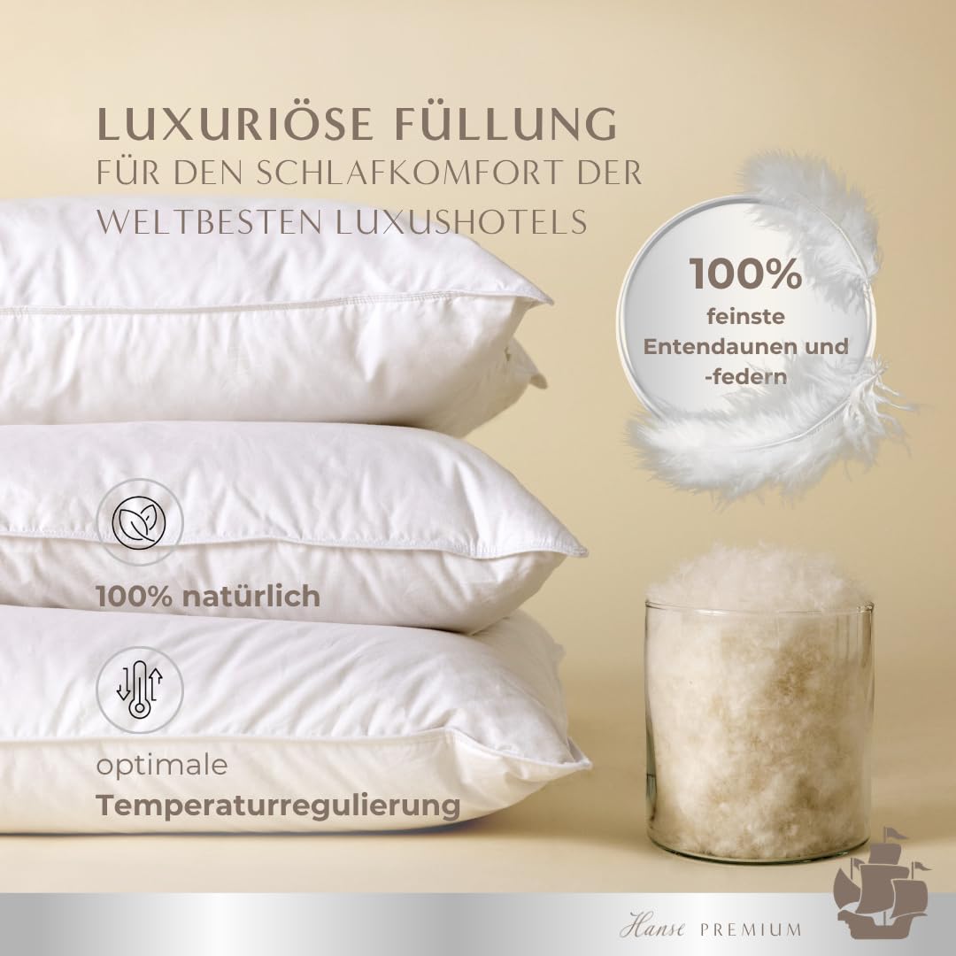 Hanse Premium Seitenschläferkissen 40 x 145 cm, Komfortables Kissen aus Daunen & Federn für Seitenschläfer, mit 3-Kammer-System, geeignet als Schwangerschafts- und Stillkissen, Made in Germany