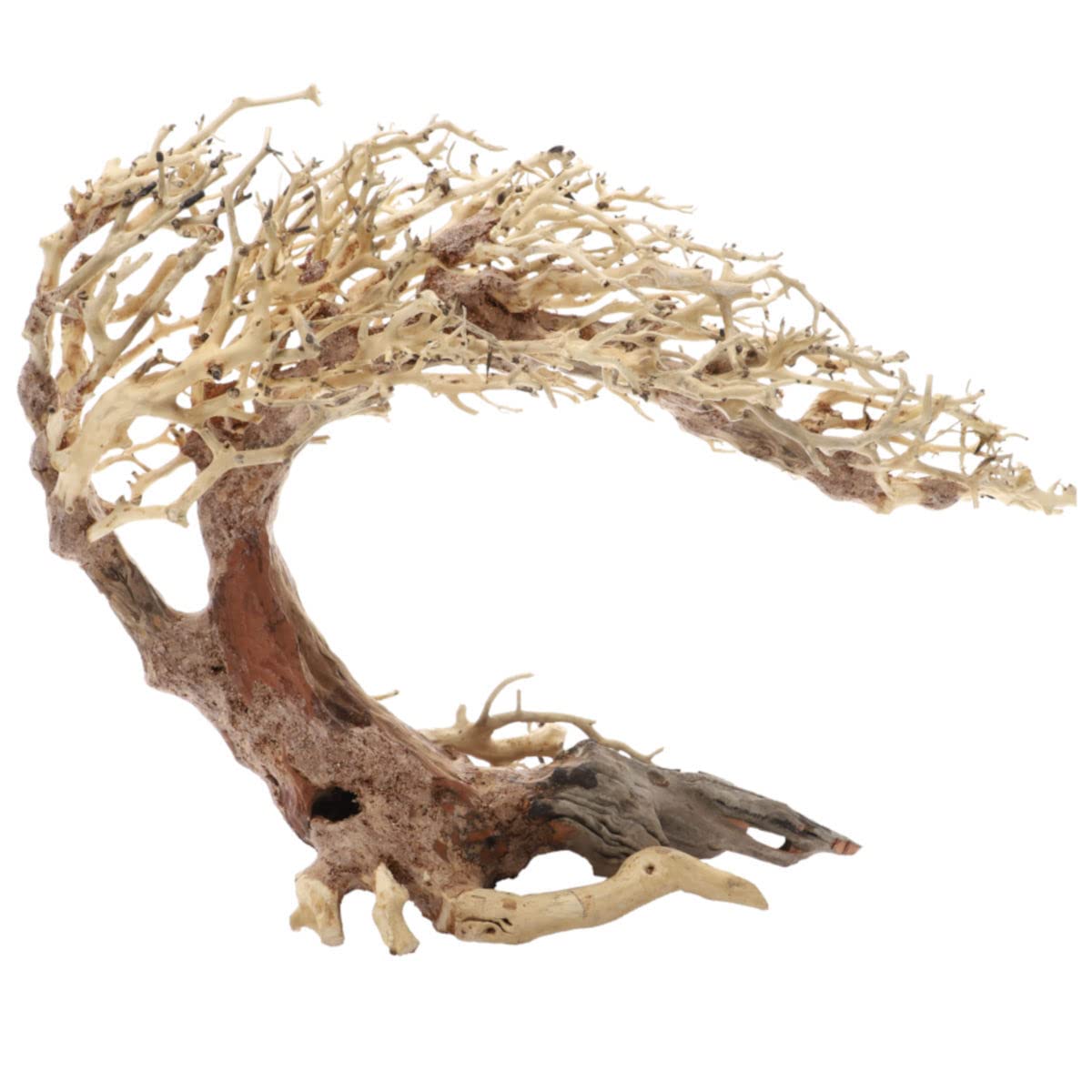 Dupla Root Crooked L, 40 x 20 x 30 cm, raíz hecha a mano para acuarios