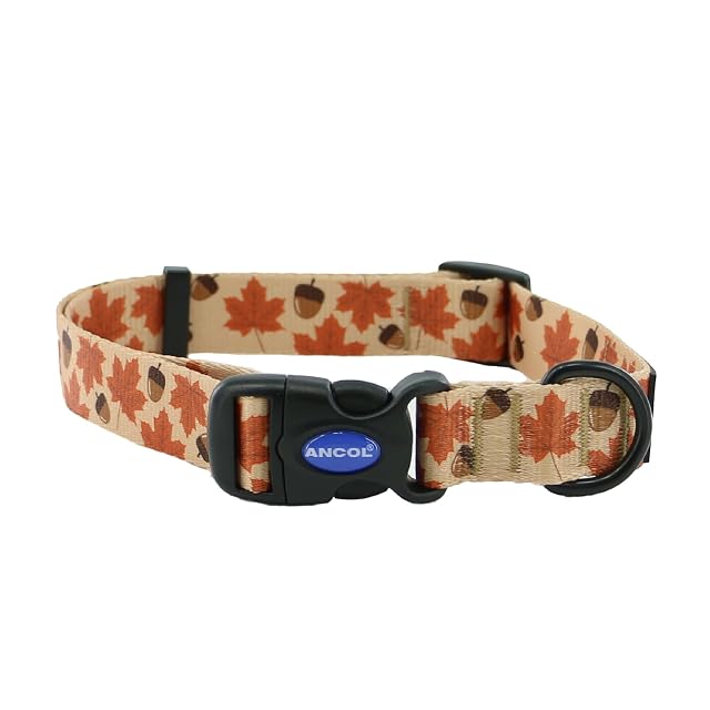 Ancol Collar Redondo para Perro con patrón de Hoja de Arce, Ligero, Resistente, Hebilla Ajustable, Duradero…