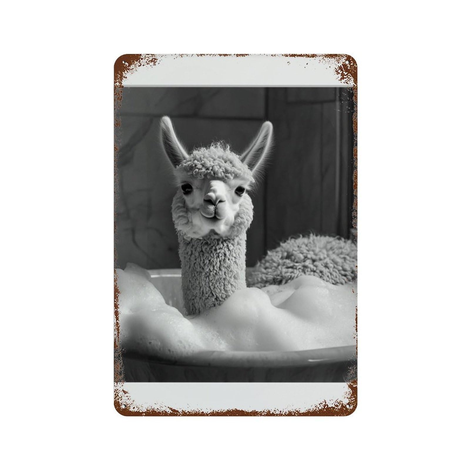 xiaoxiaoshen Llama Photography S Wall Decor Art Metal Tin Poster Modern Home Decor Art Home Bar Shop Decorations Vintage Sign 30x20cm