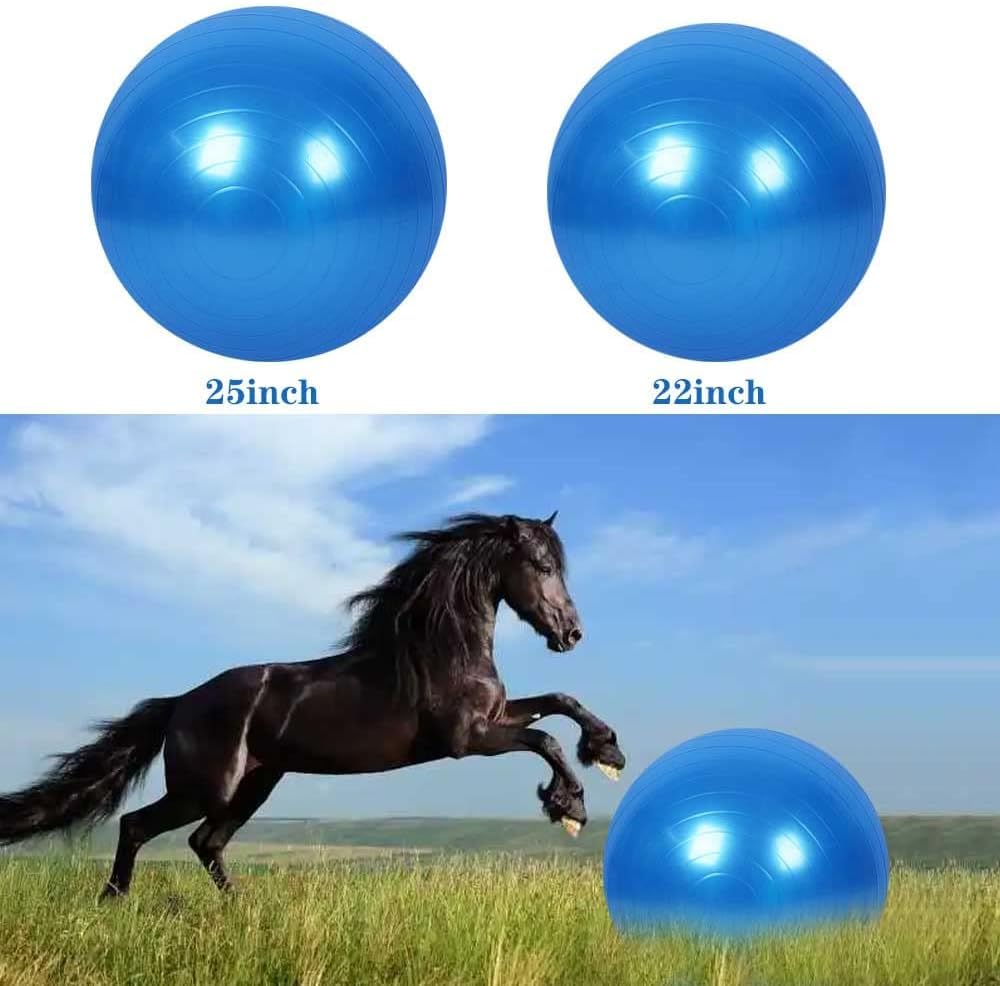 Giocattolo per allenamento a forma di palla di cavallo, anti-scoppio con pompa di gonfiaggio, per cavallo, agnello, capra, giocattolo di intrattenimento (55 cm, blu)