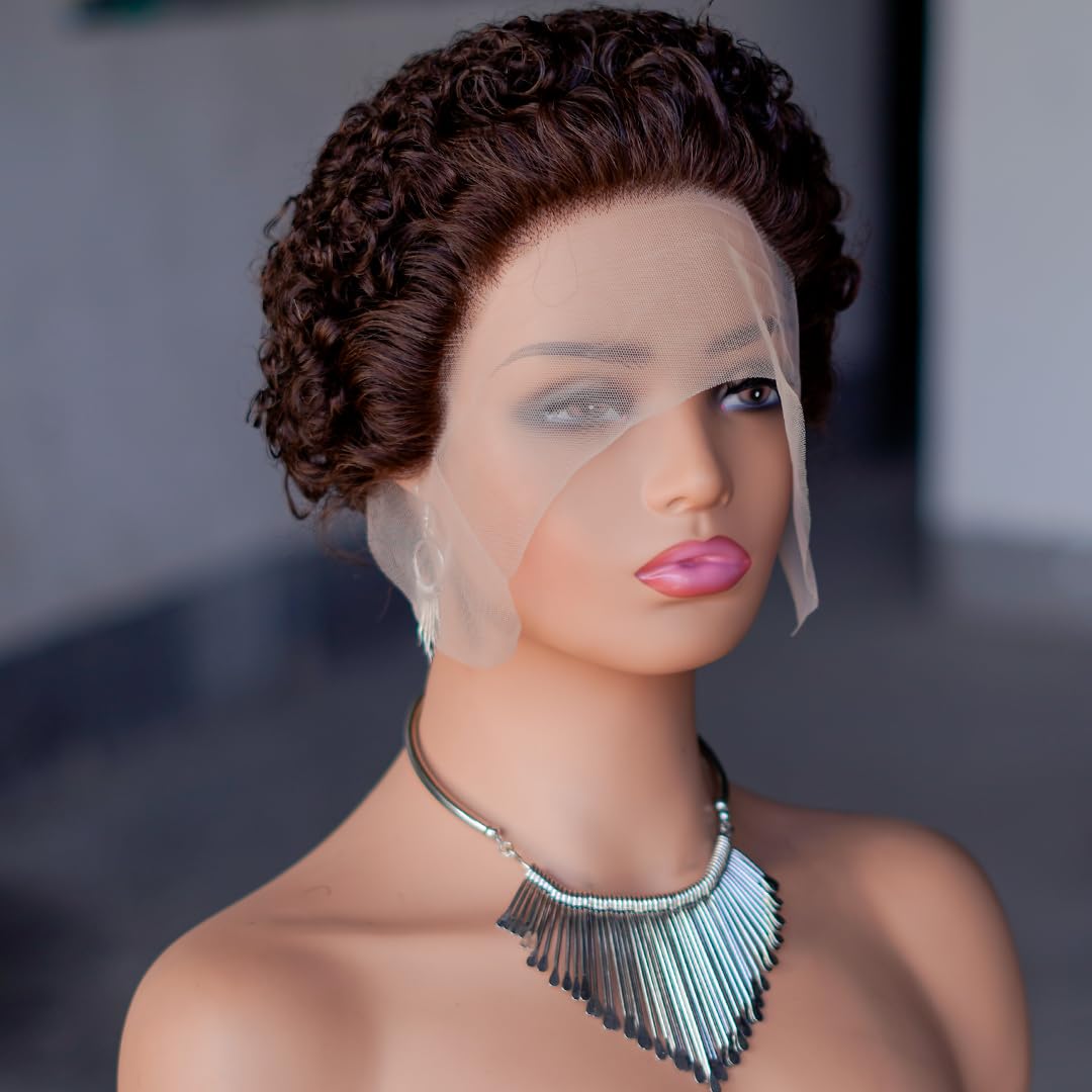 Short Curly Pixie Cut Lace Front Wig 6 Inch, 13x1 HD Lace Human Hair Wig Pre Plucked, Glueless Curly Wig for Black Women, Color #4/27 Highlight Brown Blonde Mix