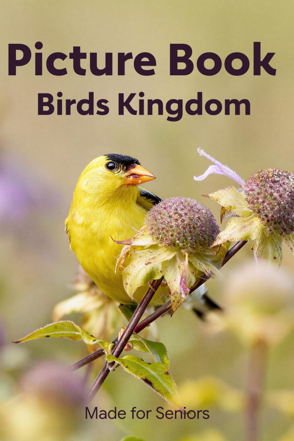 Picture Book for Seniors - Birds Kingdom. Vibrant Bird Colour Photographs for Dementia and Alzheimer's Patients with names.