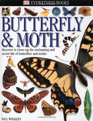 Eyewitness: Butterfly & Moth (Eyewitness Books)