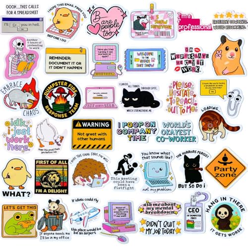 40PC Funny Office Work Stickers Cool Fun Meme Sassy Snarky Sarcastic Sayings Anti Social Mental Health Vinyl Decals Laptop Accessories Bulk Supplies Decor Water Bottles Computer Gifts for Coworkers
