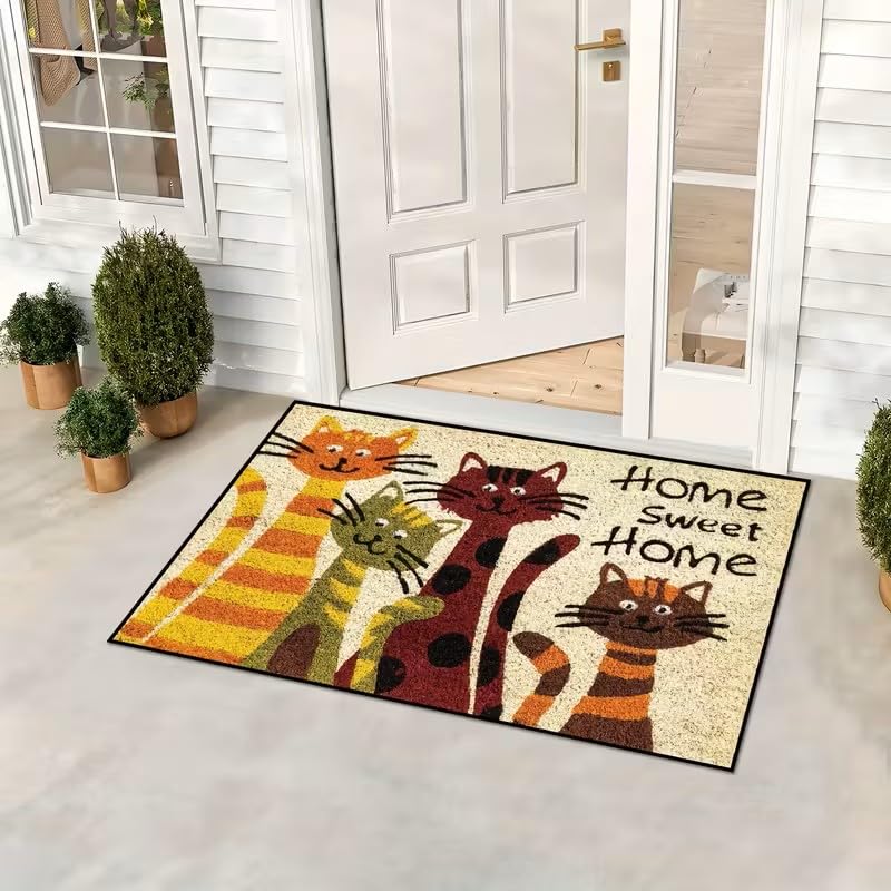 Delicada alfombra Sweet Home para entrada 50x80 cm miniatura 5