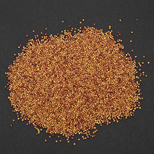 Zetiling Acquario Semi di Piante, Mini Piante