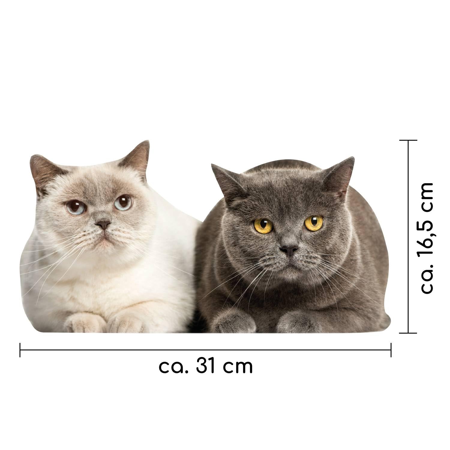 Katten Kat poezen poes stickers muurstickers raamstickers raamfolie