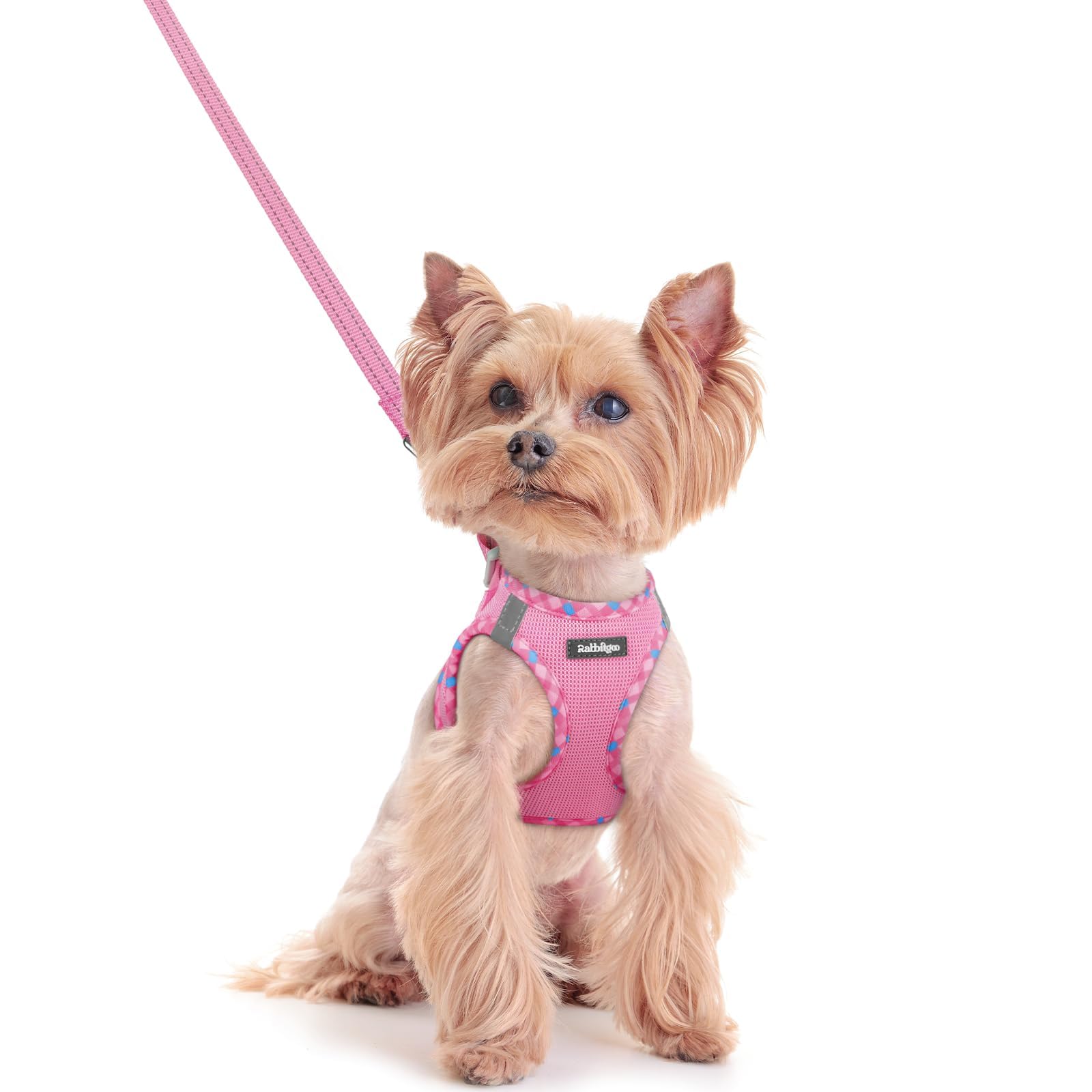 rabbitgoo Dog Harness Small Dog and Leash Set, Step-in Soft Mesh Puppy Harness with Reflective Strips, Lightweight Breathable Pet Vest for Walking Training, Pink & Plaid Trim, XXS