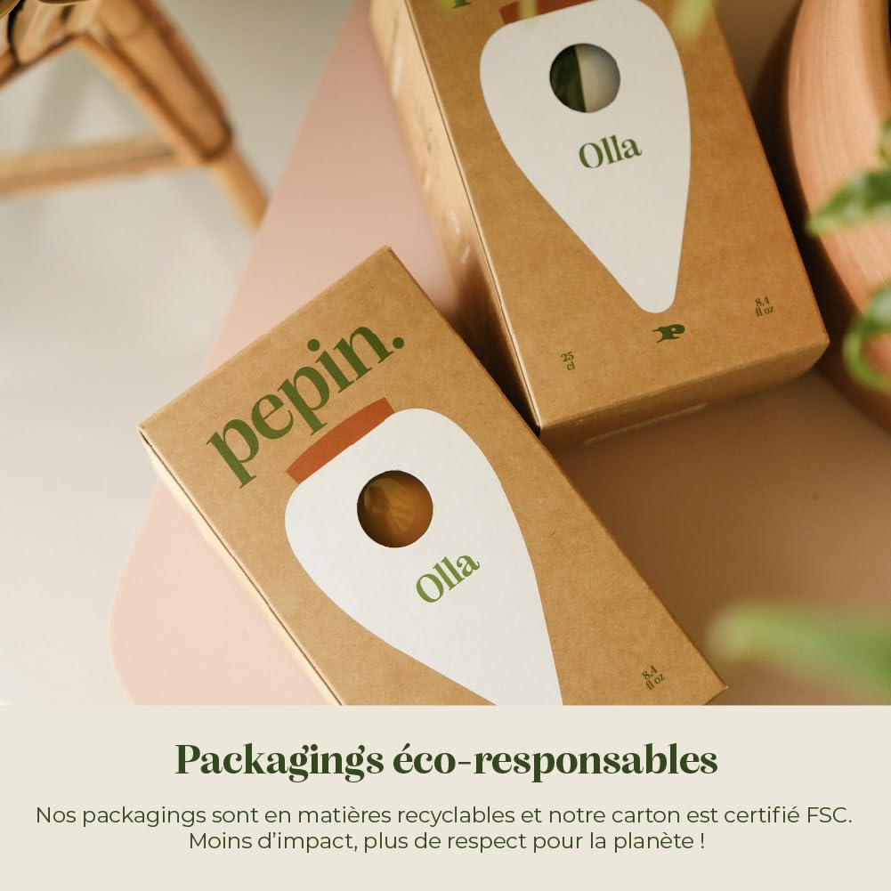 Pepin | Olla Terre Cuite à Planter | Arrosage Automatique et Ecologique pour Plante d'Intérieur et d'Extérieur | Irrigation Naturelle | Autonomie d'Environ 1 Semaine | OYA rayé Rose/Rouge 25cl