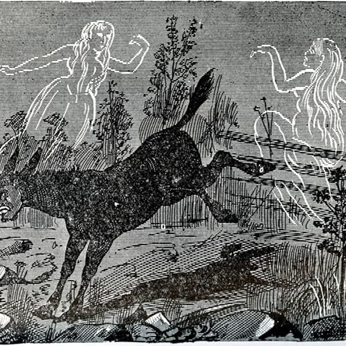 Episode 8 An American Haunting : The Bell Witch cover art