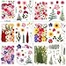 NESCCI 420 Pcs Dried Pressed Flowers for Resin,Real Nature Dried Flowers for Crafts Bulk Dry Flowers Leaves Kit Used for Resin Molds Scrapbooking DIY Art Crafts Candle Soap Making Nails Décor