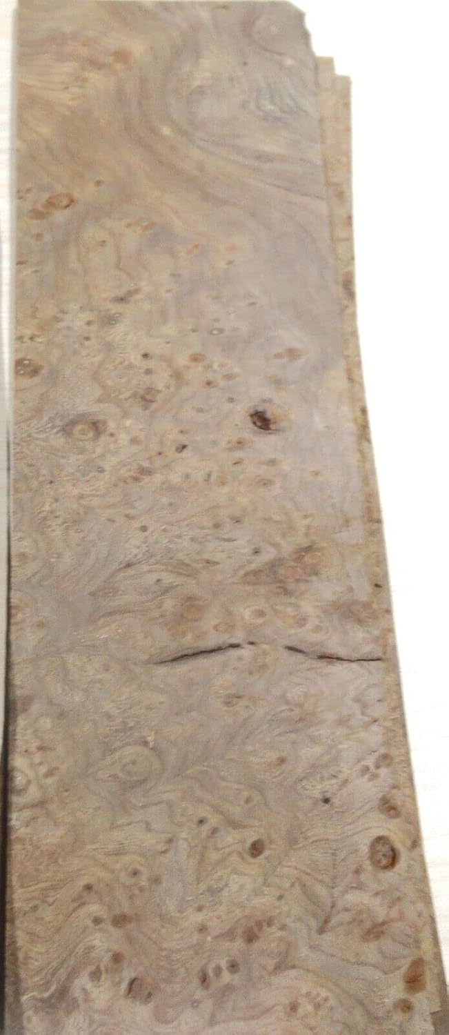 Carpathian Elm Burl Wood Veneer 4" x 12" raw no Backer AA Grade 1/42" Thick