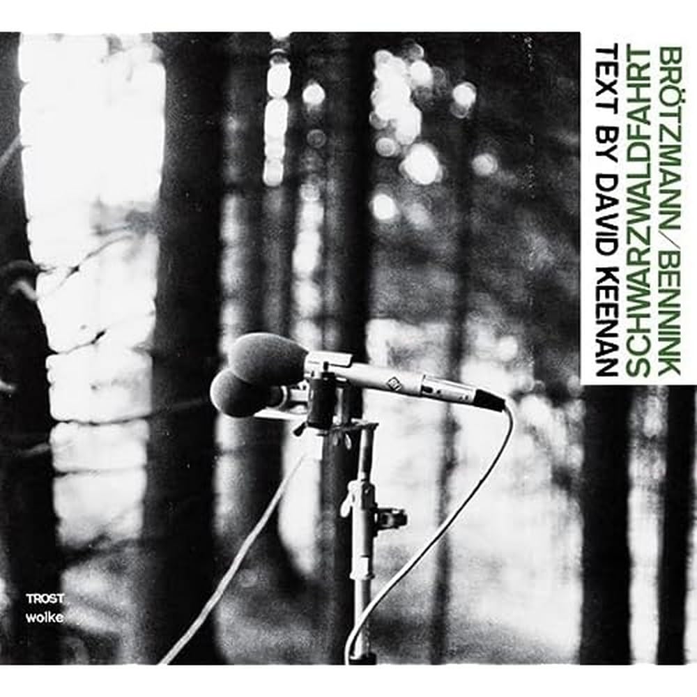 洋楽 SCHWARZWALDFAHRT/BROTZMANN & HAN BENNINK Schwarzwaldfahrt | Brötzmann / Bennink | FMP Records