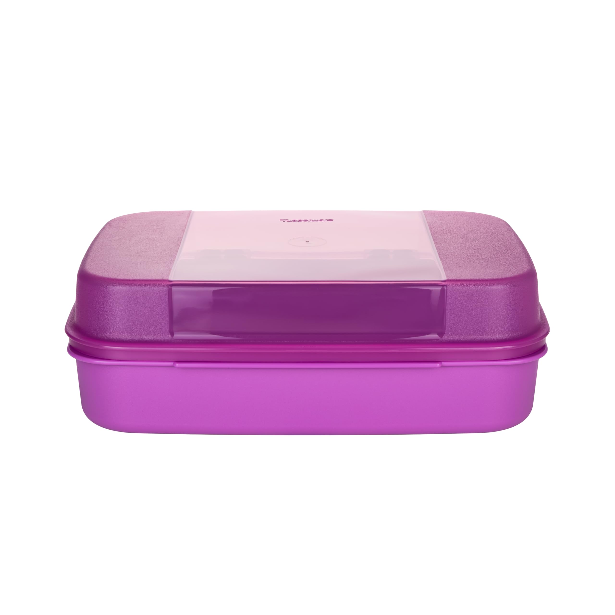 Tupperware Large Sweet Kitten 2.5 Litres Trendy Colour Picnic Box