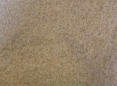 Räuchermehl Buche fein 2kg Sack