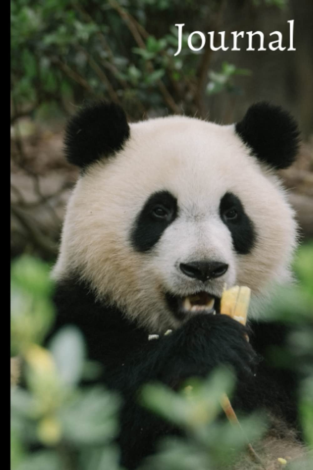 Independently published Tasty Nibbles Panda Journal (Cuddly Panda)