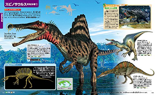 21年版 恐竜図鑑のおすすめ10選 幼児向けや大人向けも Heim ハイム