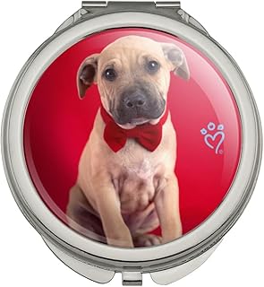 GRAPHICS & MORE Bowtie Valentine Puppy Compact Travel Purse Handbag Makeup Mirror