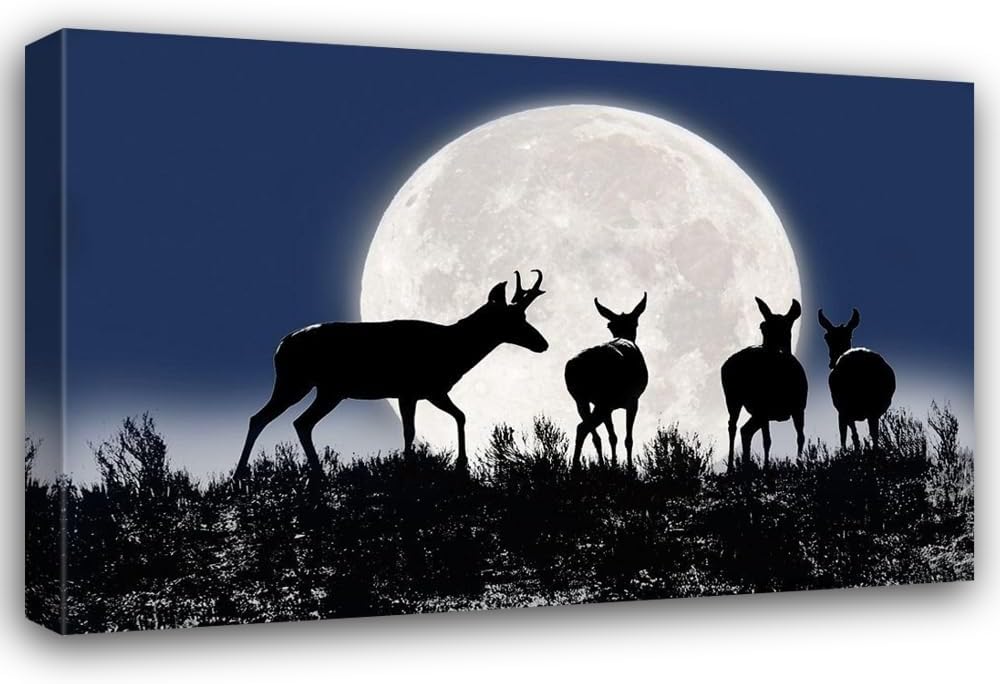 ArtDirect Antelope Pronghorn Silhouettes and Moon 48x32 Huge Gallery Wrapped Canvas Museum Art by Schell, Jennie Marie