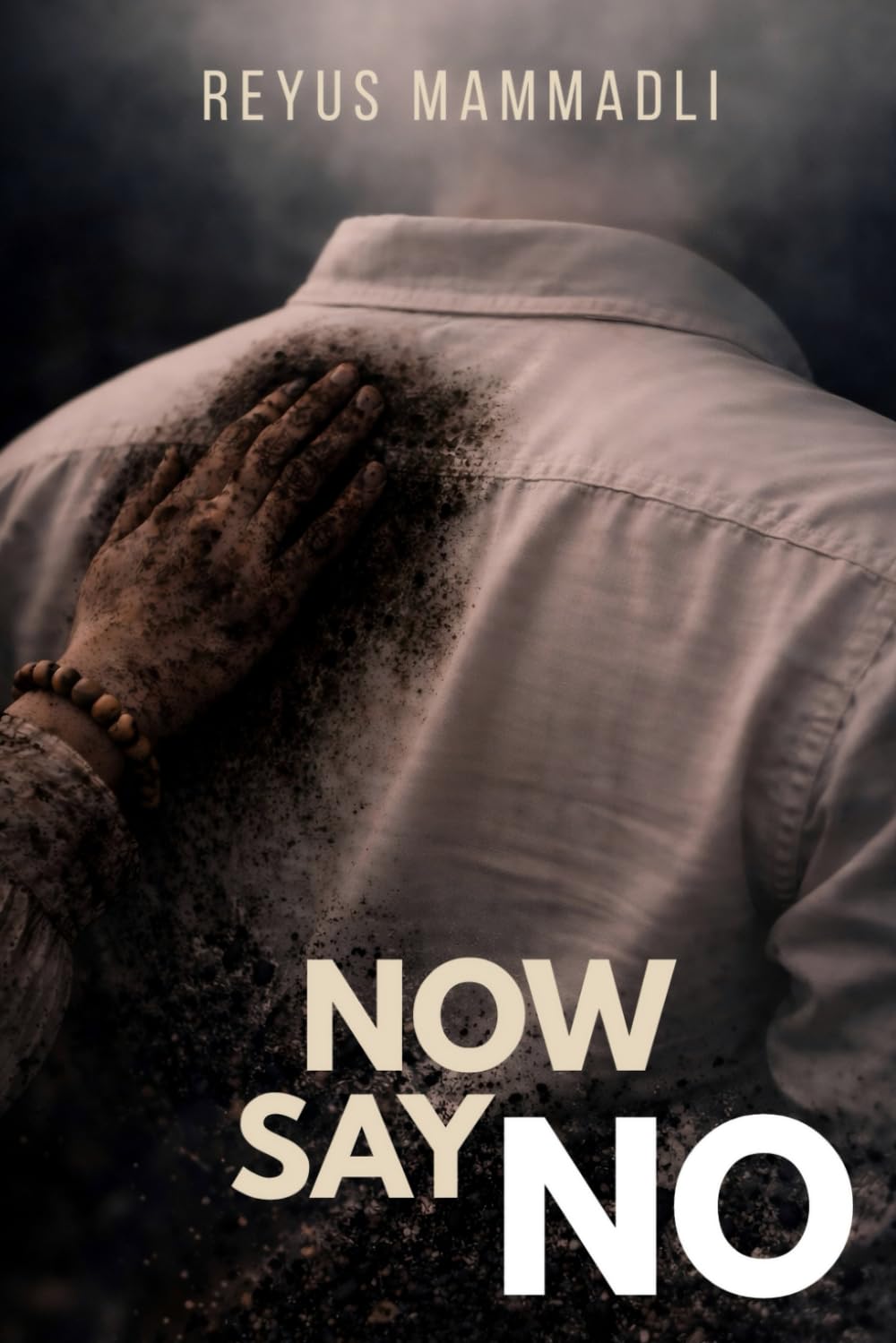 NOW SAY NO: A Detective Novel of Revenge and Secrets