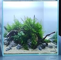 Vista 7 de LANDEN Namale - Arena para acuario, 2 L (aprox. 7 libras), arena súper natural para paisajismo de acuarios, arena cosmética para peceras, sustrato