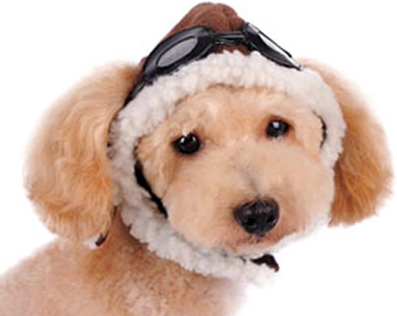 Dogo "Aviator" Hat For Cat Dog Puppy Pet (XS)