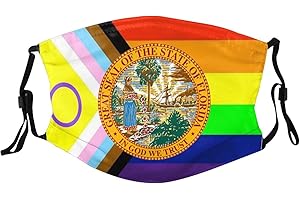 Seal of The State Florida Face Mask