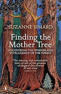 Finding the Mother Tree: Uncovering the Wisdom and Intelligence of the Forest