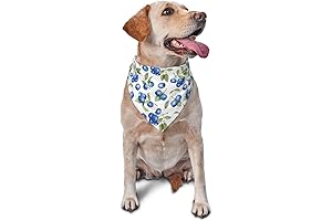Blueberries Bandana: A Festive Bandana for Your Furry Friend