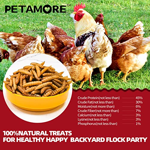 petamore 5lbs Bulk Protein Treats Alternative to Dried Mealworms for Chickens Non-GMO Dried Black Soldier Fly Larvae for… - Image 3