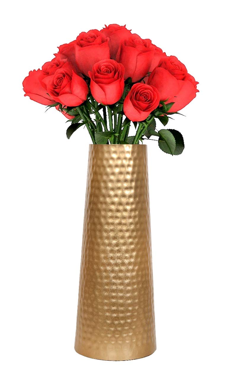 Skywalk Hand Crafted Metal Flower Vase for Home Decoration (Brown) (12 INCH) (B08KJDBNH5) Amazon Price History, Amazon Price Tracker