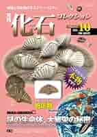 Amazon.co.jp: 化石コレクション10 (朝日ビジュアルシリーズ
