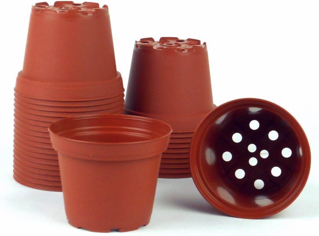 3 in. dia. Terra Cotta Pots (30-pack)