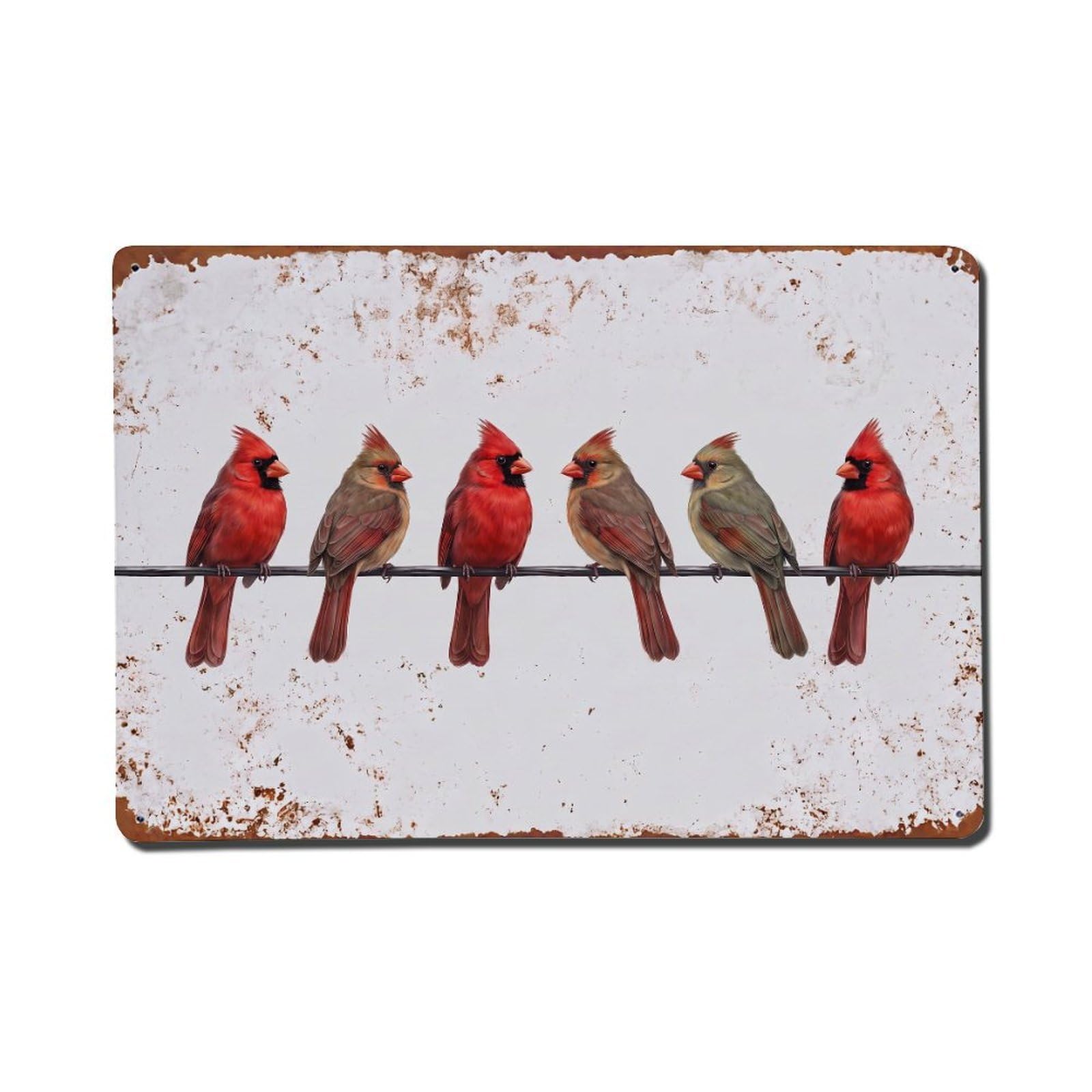 Vintage Retro Birds Cardinal Metal Tin Sign